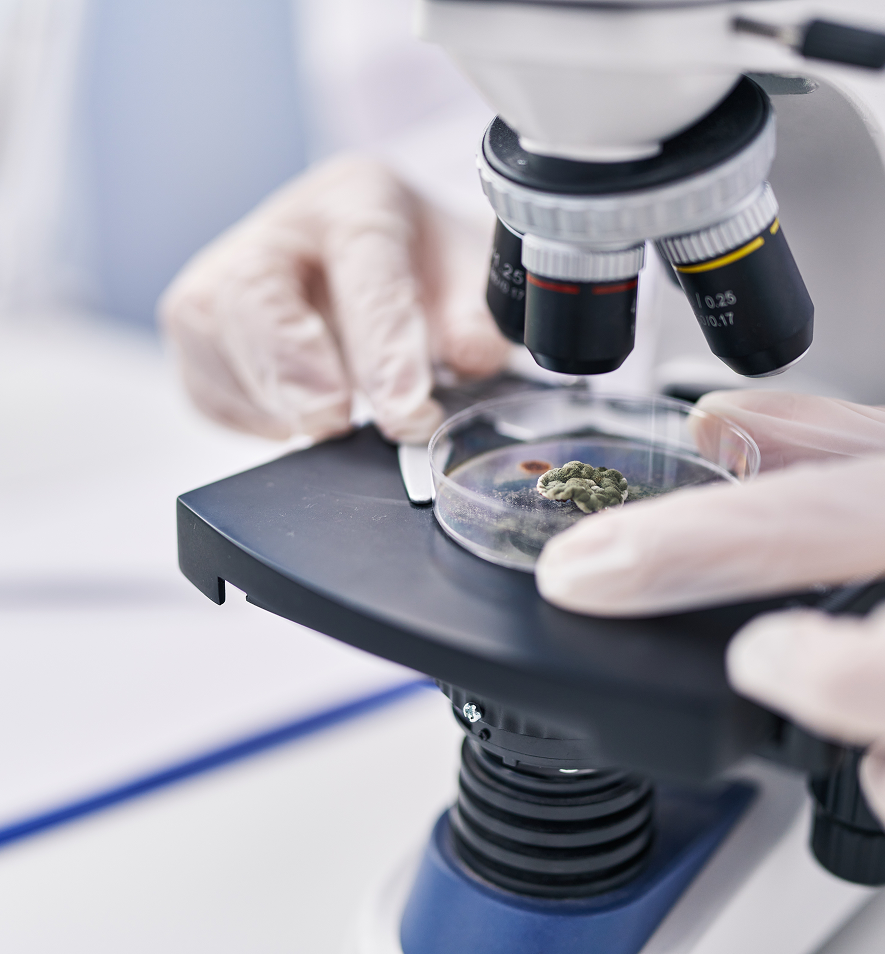 Professional mold inspector reviewing test results with Salt Lake City homeowner