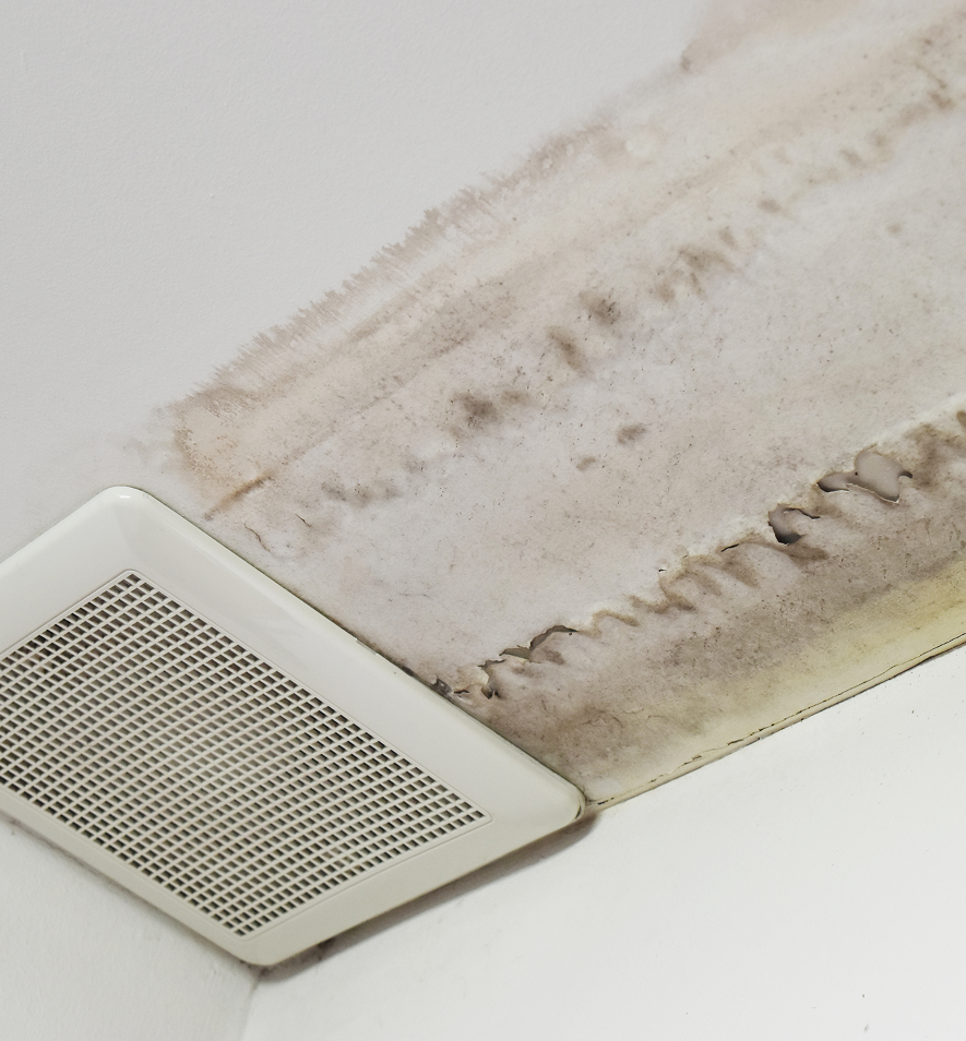 Mold testing equipment and sampling materials used by CopperView CI