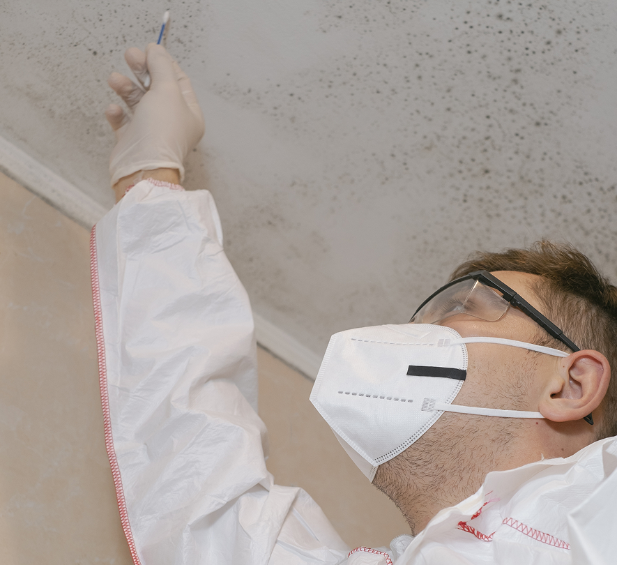 Mold inspector examining wall surface for mold growth in Salt Lake City